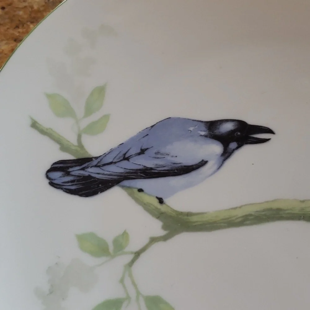 MZ Moritz Zdekauer Austria Blue Black Birds 8.5